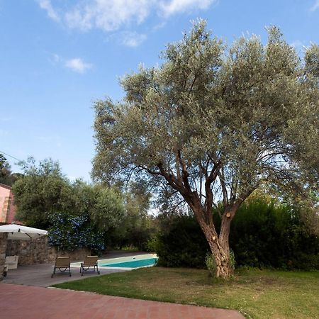 Penzion Agricontura Capri Leone Exteriér fotografie
