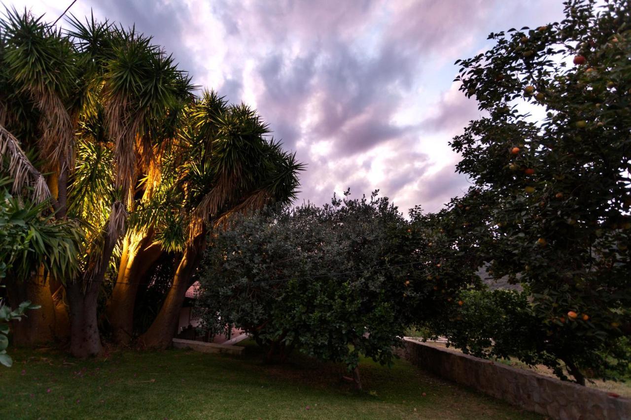 Penzion Agricontura Capri Leone Exteriér fotografie